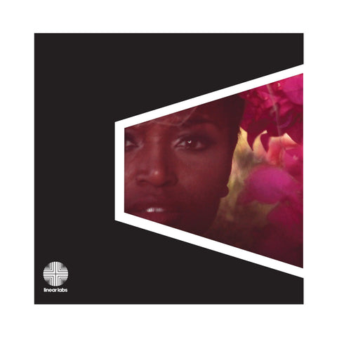 DELFONICS THE-ADRIAN YOUNGE PRESENTS THE DELPHONICS LP *NEW*