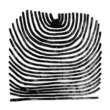 RIVAL CONSOLES-HOWL CLEAR VINYL 2LP *NEW*