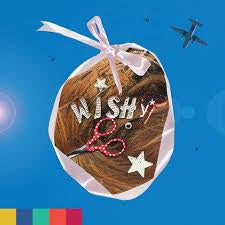 WISHY-PARADISE ON PLANET POPSTAR CD *NEW*
