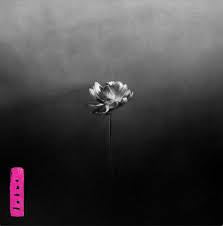 LITTLE SIMZ-LOTUS CD *NEW*