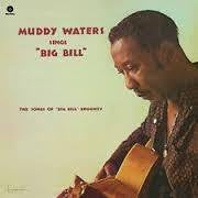 WATERS MUDDY-SINGS "BIG BILL" LP EX COVER EX