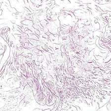 SKINNER TOM-VOICES OF BISHARA CD *NEW*