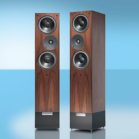 LIVING VOICE-R25 ANNIVERSARY LOUDSPEAKER *DEMO MODEL* save $5K