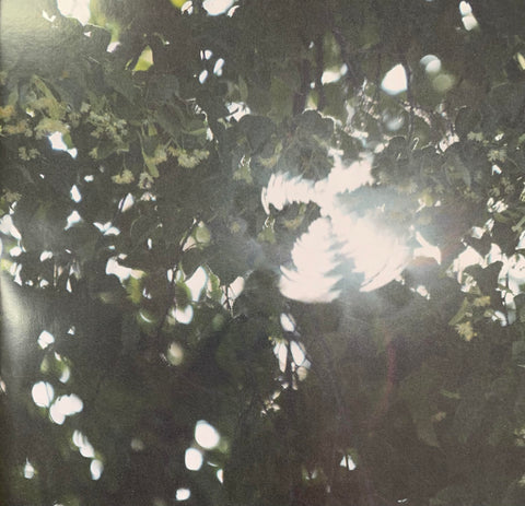 GRANDSON-I LOVE YOU, I'M TRYING CD *NEW*