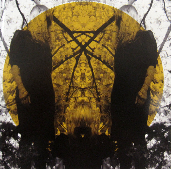 AUSTRA-FEEL IT BREAK CD VG