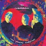 CAKEKITCHEN THE-TIME FLOWING BACKWARDS LP *NEW*