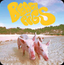 BEACH PIGS-NO WORK COLOURED VINYL 7" *NEW*