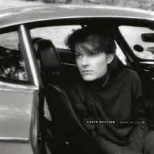 SYLVIAN DAVID-GONE TO EARTH 2LP *NEW*