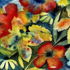 LENKER ADRIANNE-SONGS & INSTRUMENTALS 2LP *NEW*