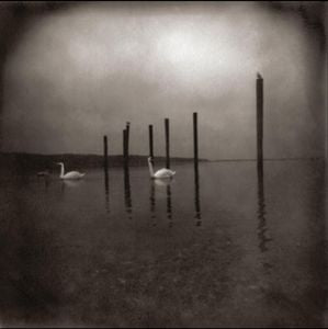 OM-CONFERENCE OF THE BIRDS LP *NEW*