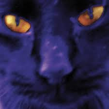 KILGOUR DAVID & THE HEAVY EIGHTS-BOBBIE'S A GIRL CD NM