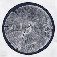 MONTGOMERY ROY - TROPIC OF ANODYNE LP *NEW*