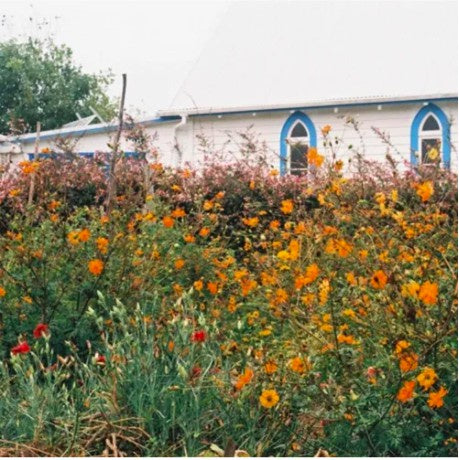 STRANG KANE-BLUE CHEESE CD VG+