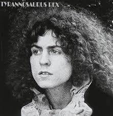 TYRANNOSAURUS REX-A BEARD OF STARS LP VG+ COVER VG+