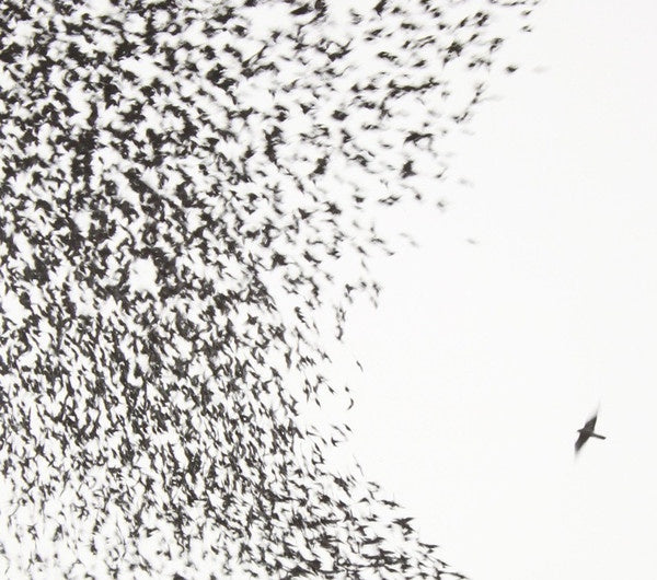 WILCO-SKY BLUE SKY CD + DVD VG