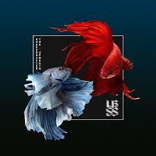 SHAPESHIFTER VS THE UPBEATS CD VG