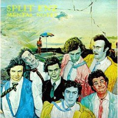 SPLIT ENZ-MENTAL NOTES REMASTERED AND EXPANDED  CD VG