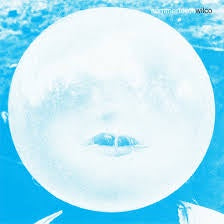 WILCO-SUMMERTEETH DELUXE EDITION 5LP BOX SET *NEW*