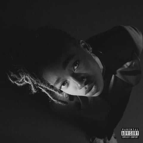 LITTLE SIMZ-GREY AREA LP *NEW*