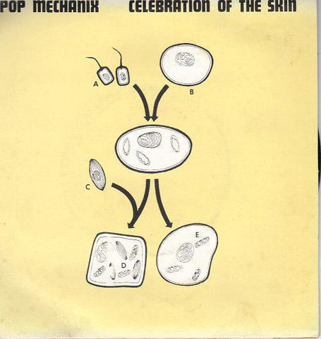POP MECHANIX-CELEBRATION OF THE SKIN 7 INCH EX COVER VG+