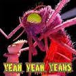 YEAH YEAH YEAHS-MOSQUITO CD M