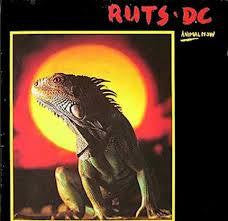 RUTS DC-ANIMAL NOW LP VG COVER VG