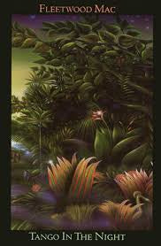 FLEETWOOD MAC-TANGO IN THE NIGHT DVD *NEW*