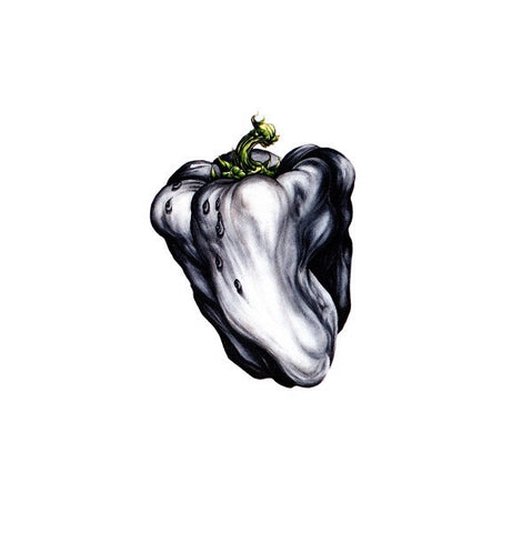 WEEN-WHITE PEPPER CD VG