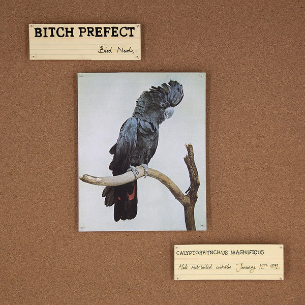 BITCH PERFECT-BIRD NERDS CD VG