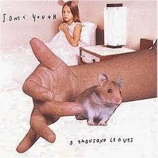 SONIC YOUTH-A THOUSAND LEAVES 2LP *NEW*