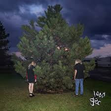 100 GECS-1000 GECS LP *NEW*