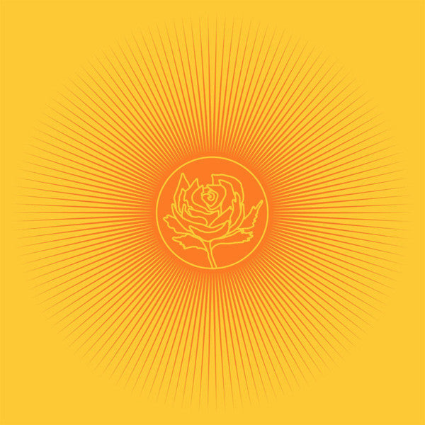 ADAMS RYAN & THE CARDINALS-EASY TIGER ORANGE VINYL LP NM