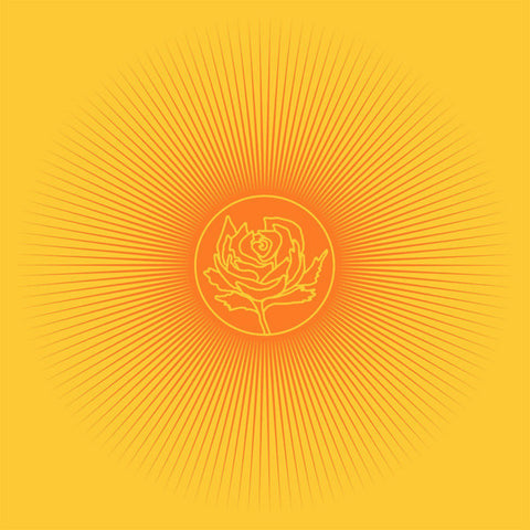 ADAMS RYAN & THE CARDINALS-EASY TIGER ORANGE VINYL LP NM