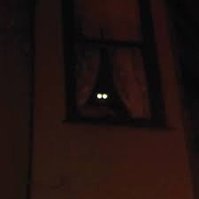 THEE OH SEES-FORTRESS 7" *NEW*