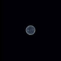 @PEACE-@PEACE AND THE PLUTONIUM NOISE SYMPHONY CD *NEW*