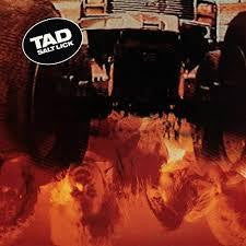 TAD-SALT LICK CD *NEW*