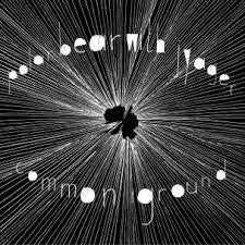 POLAR BEAR WITH JYAGER-COMMON GROUND CD *NEW*