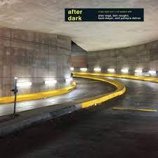 VEGA ALAN-AFTER DARK LP *NEW*