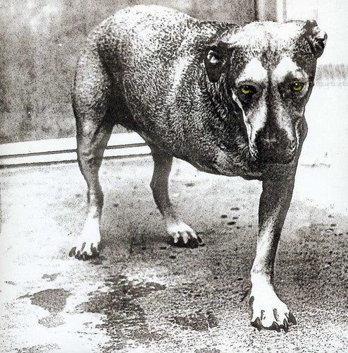 ALICE IN CHAINS-ALICE IN CHAINS CD VG
