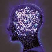 ENTER SHIKARI-THE MINDSWEET LP + CD *NEW*