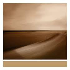 ENO BRIAN WITH JON HOPKINS & LEO ABRAHAMS-SMALL CRAFT ON A MILK SEA 2LP *NEW*