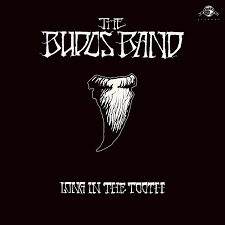 BUDOS BAND THE-LONG IN THE TOOTH CD *NEW*