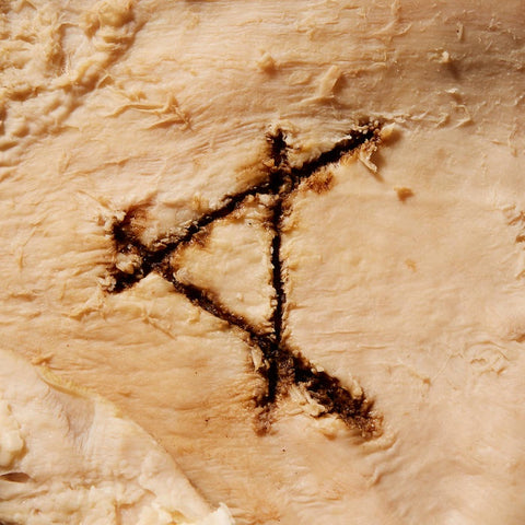 CASSELS-A GUT FEELING CD *NEW*