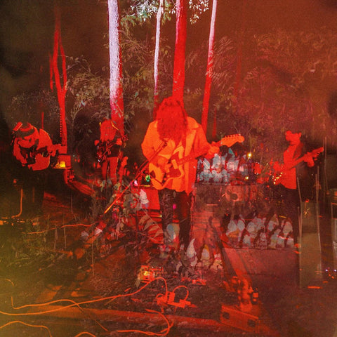 PSYCHEDELIC PORN CRUMPETS-LEVITATION SESSIONS LTD ED COLOURED VINYL LP *NEW*