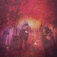 WINDHAND-LEVITATION SESSIONS LTD ED COLOURED VINYL 2LP *NEW*