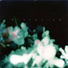 MICRONISM-INSIDE A QUIET MIND CD G