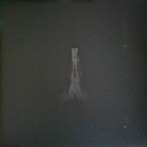 SAULT-UNTITLED (RISE) 2LP VG+ COVER EX