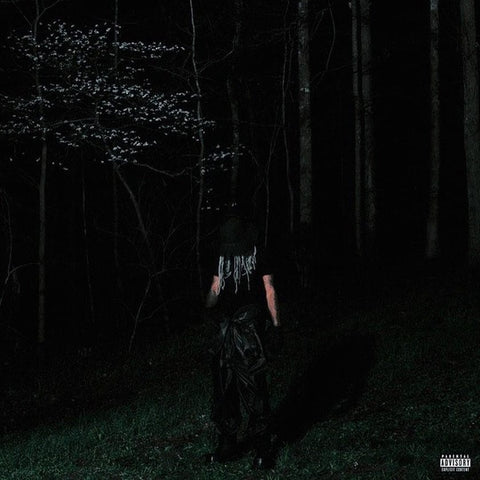 DESTROY LONELY-IF LOOKS COULD KILL 2CD *NEW*