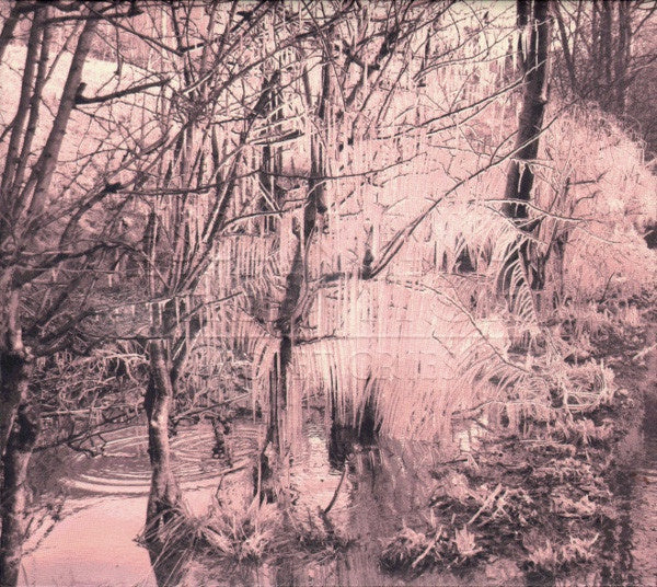 ESBEN & THE WITCH - VIOLET CRIES CD VG