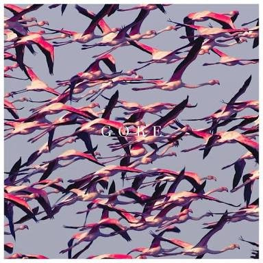 DEFTONES - GORE CD VG